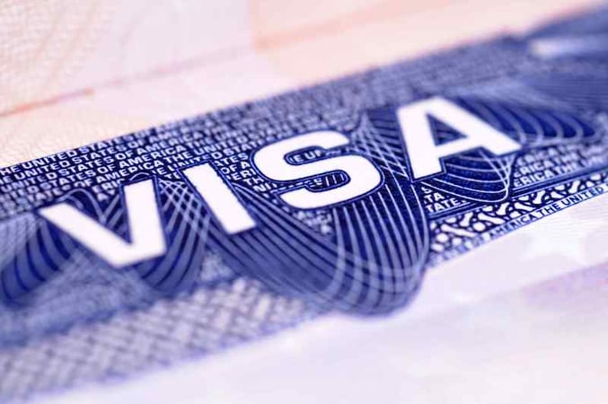 TN Visa: A Work Visa That Works! Learn How to Apply, Requirements, Costs, Documentation and More