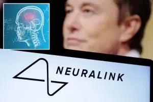 Blurry image of a person in the background with a close-up image of a human skull and brain activity diagram in an inset. The Neuralink logo is in focus in the foreground, reminiscent of futuristic elements you'd find in Netflix's "Tears of the Kingdom. CodersLink 2024.