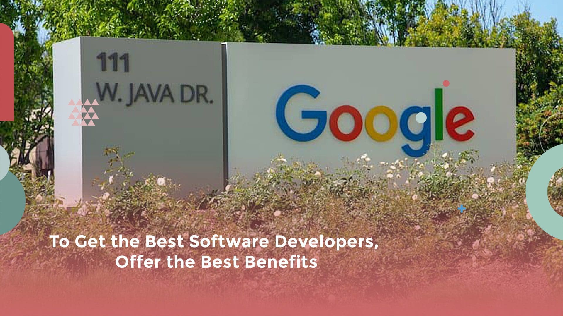 To Get the Best Software Developers, Offer the Best Benefits